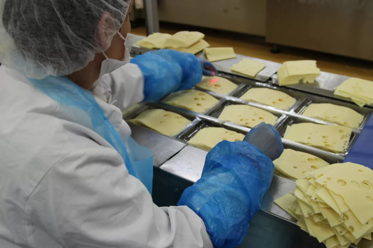 Polska to ważny producent serów w UE