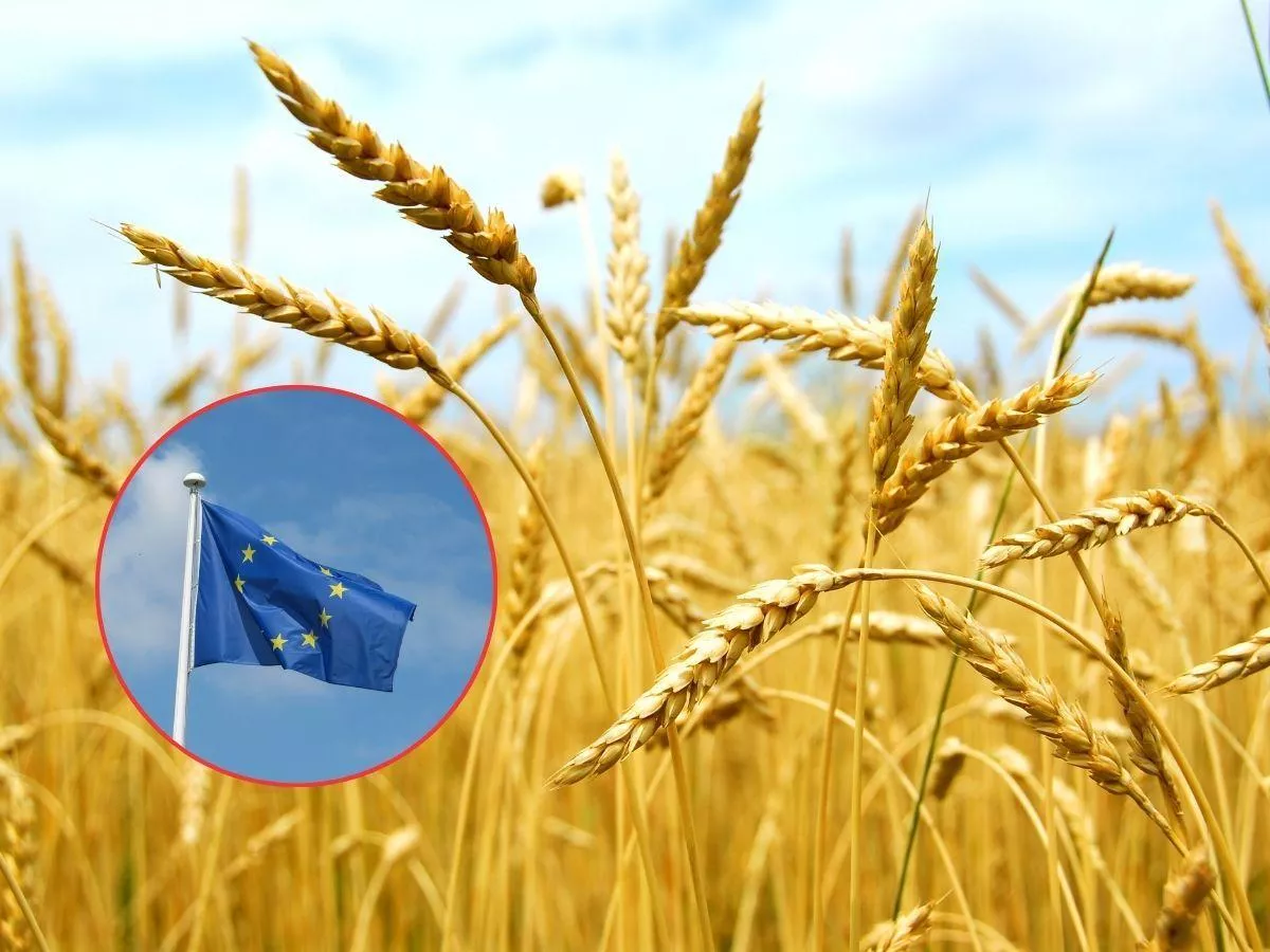 10 państw chce do UE. Czy nasze rolnictwo to wytrzyma?