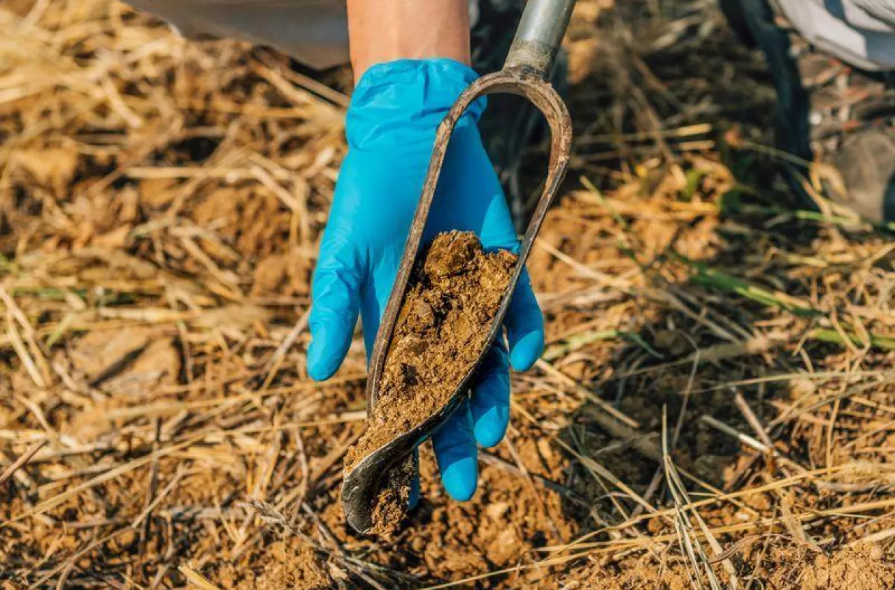 Bez tego możesz stracić dopłaty. Sprawdź, co musisz mieć do ekoschematów
