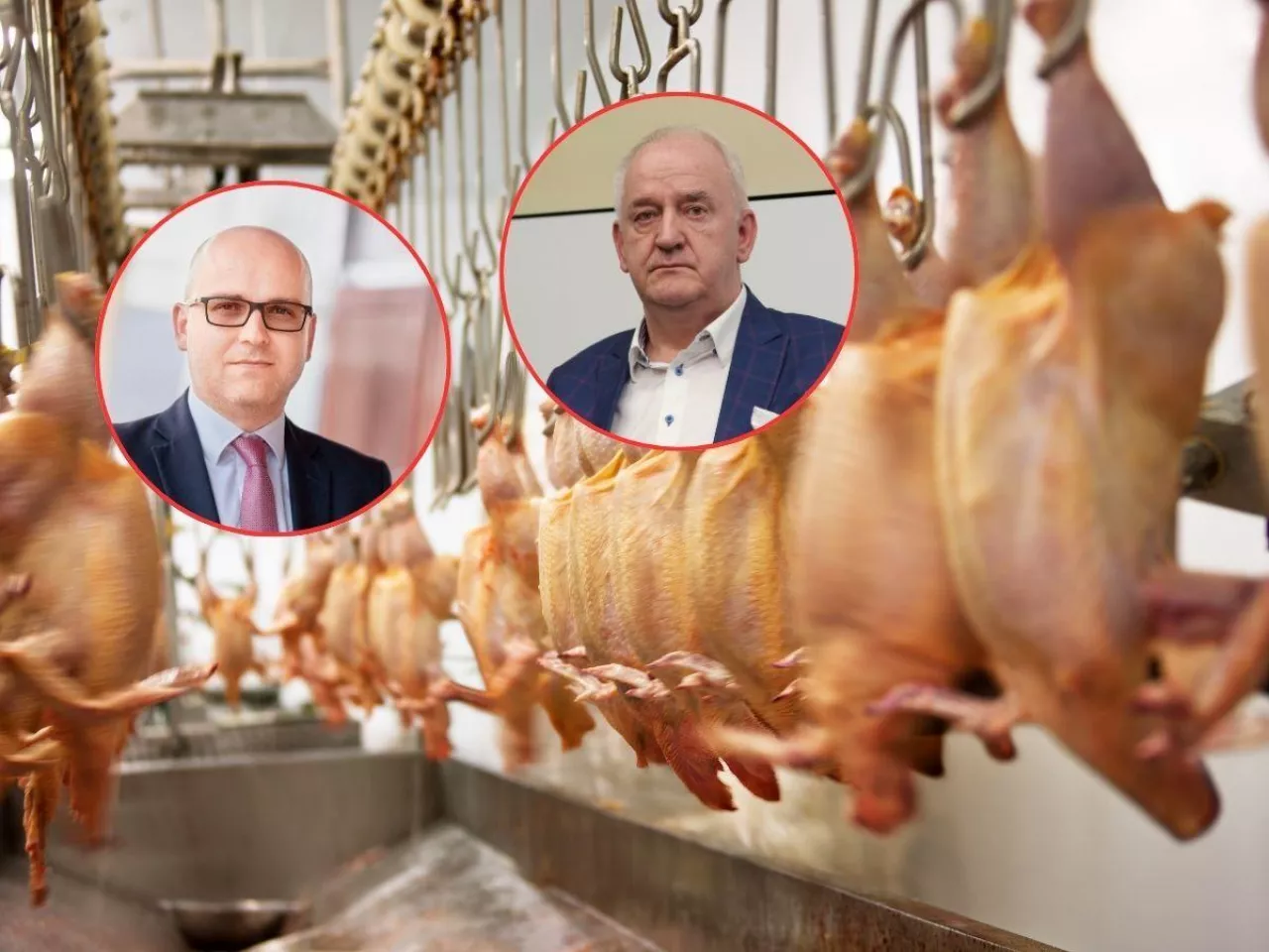 Mięso dzieli rolników. Kto zarobił w 2025, a kto stracił?