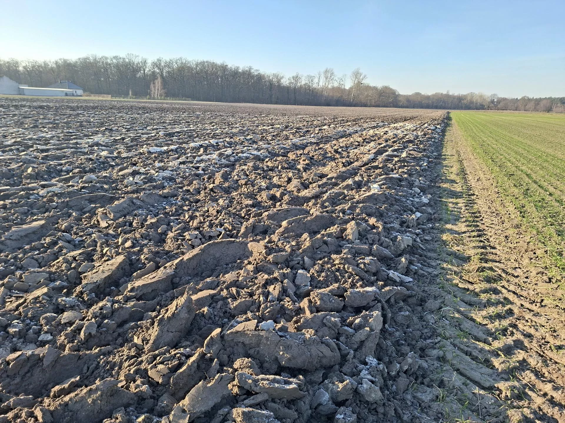 Koniec z ustną dzierżawą. Co nowa ustawa zmieni dla rolników?