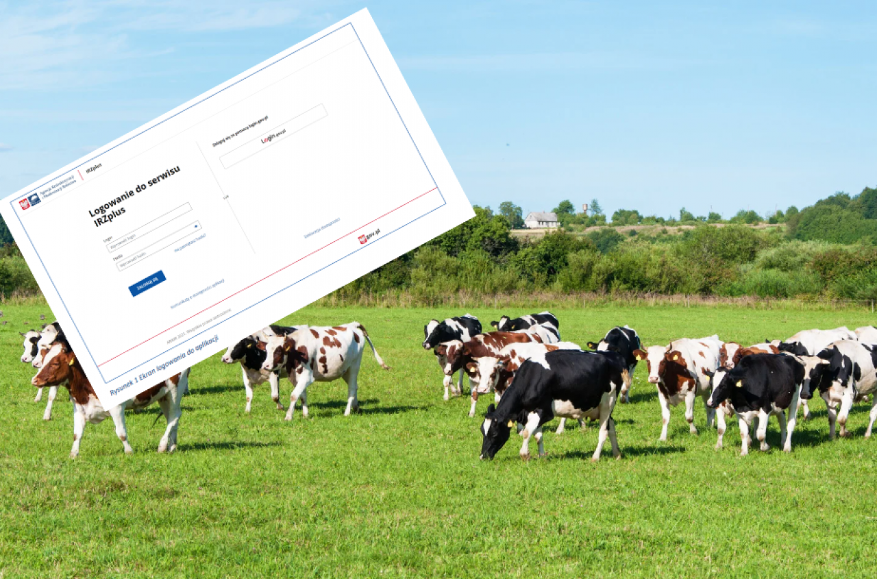 IRZplus zmienia zasady. Rolnicy zobaczą to przy zgłoszeniach