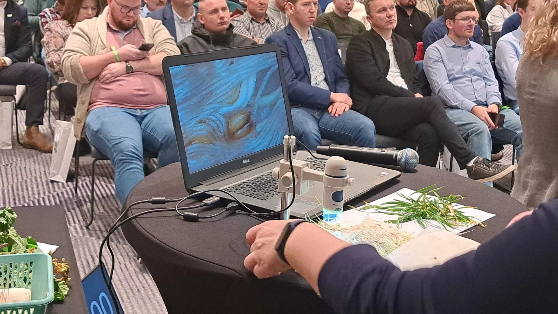 Jak opłacalnie nawozić i chronić zboża i rzepak? Ruszają specjalne seminaria