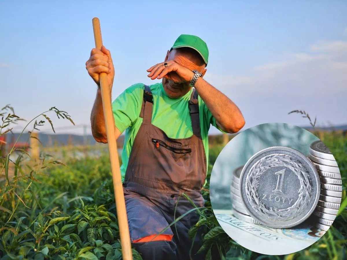 Wypadek w gospodarstwie? Sprawdź, ile pieniędzy możesz dostać z KRUS i co trzeba zgłosić