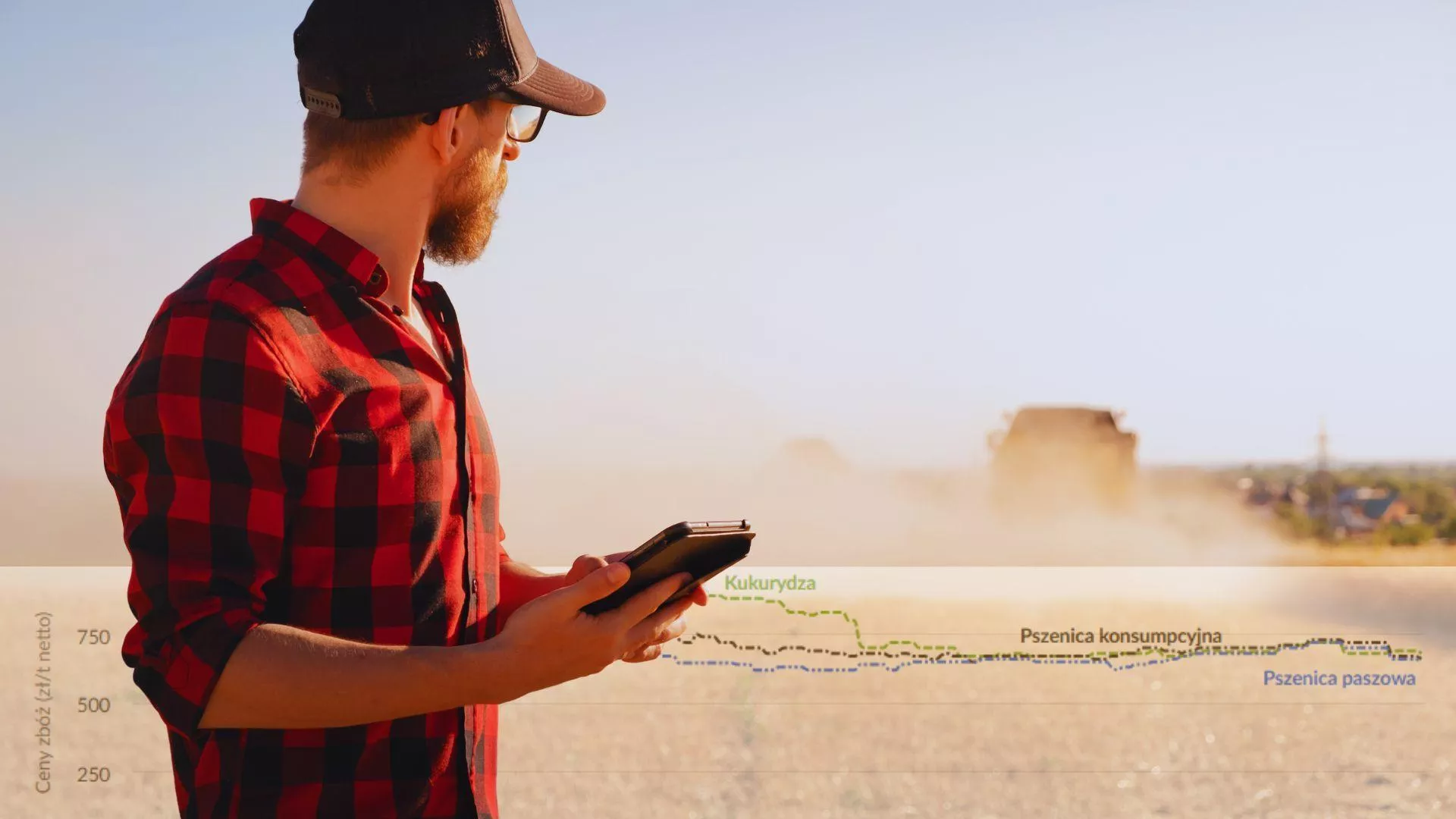 Bieżące ceny płodów rolnych na wyciągnięcie ręki – rzetelna informacja, która pomaga podejmować lepsze decyzje