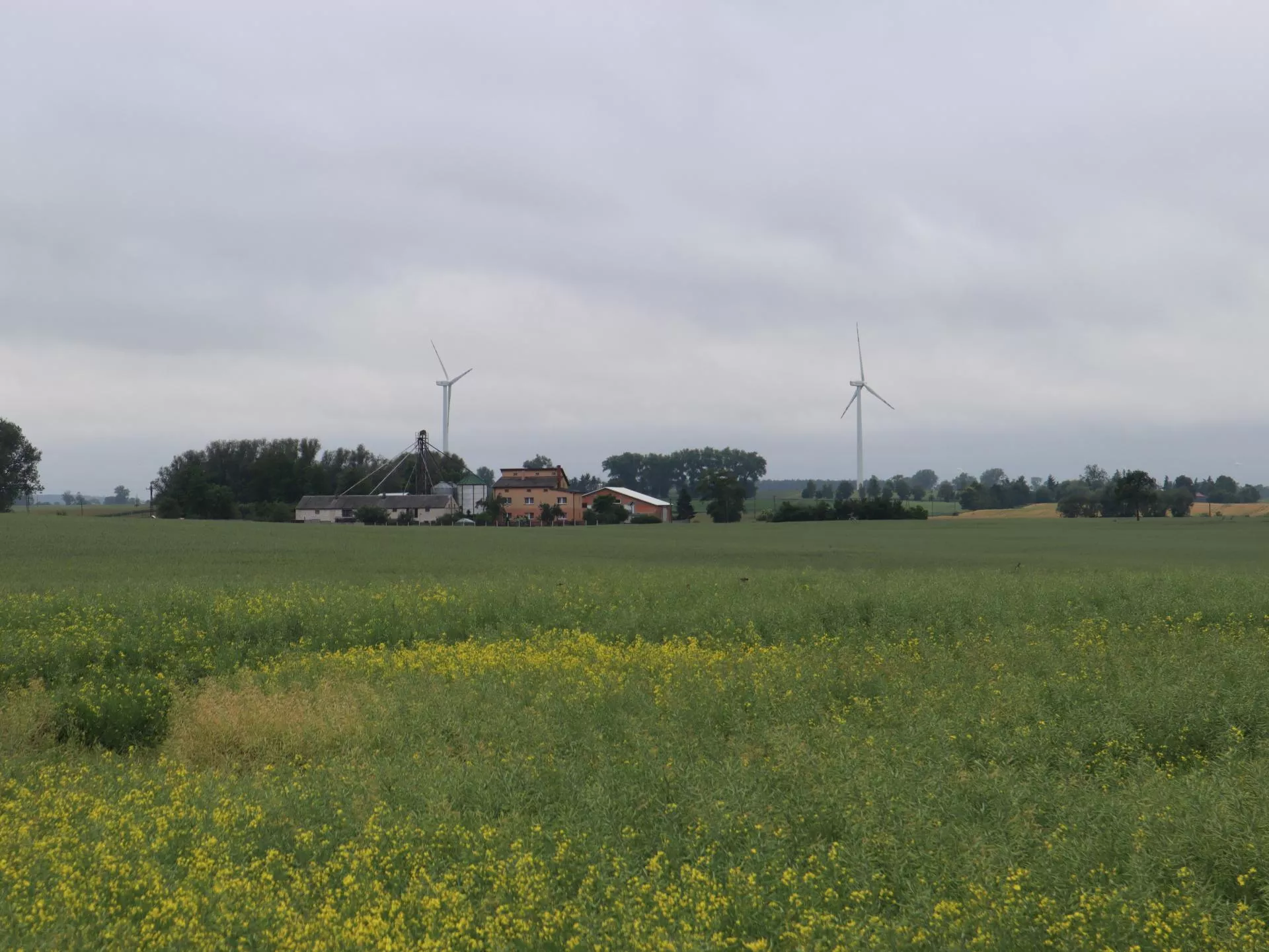 Tych dotacji z ARiMR w 2026 roku nie będzie. Wielu rolników zaskoczonych