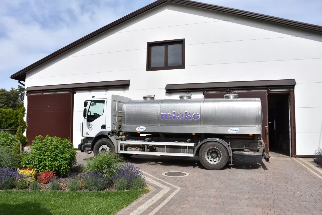 Akurat podczas naszej wizyty odbywał się odbiór mleka do mleczarni