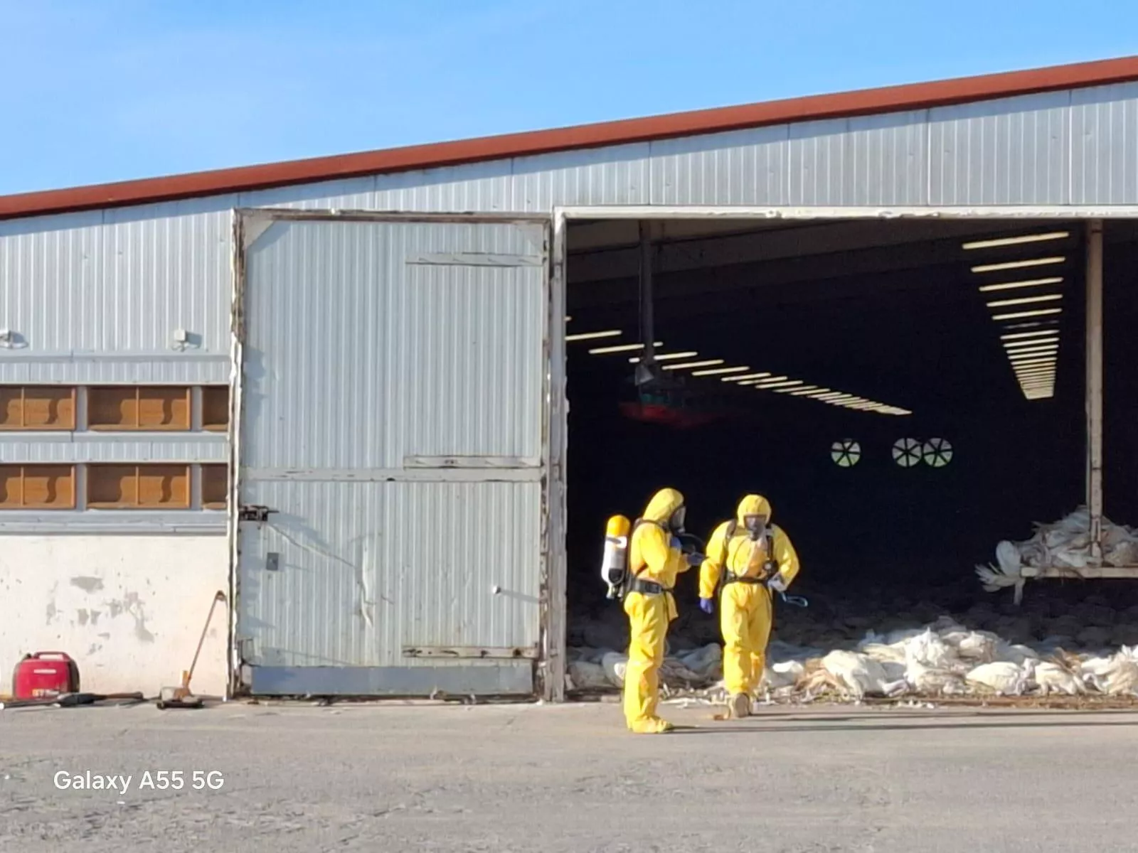 Weterynaria i ministerstwo ostrzegają. Za to rolnik może stracić pieniądze