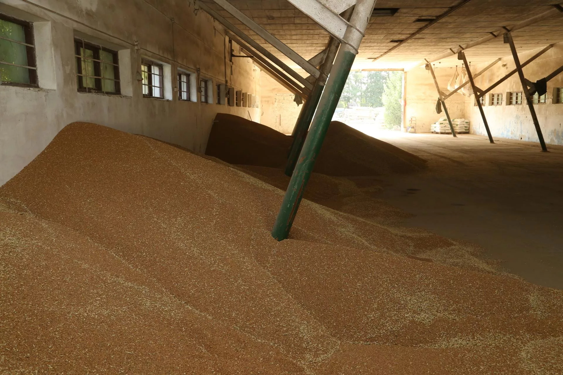 Zboże trafi do baków? Rząd odpowiada na postulat rolników