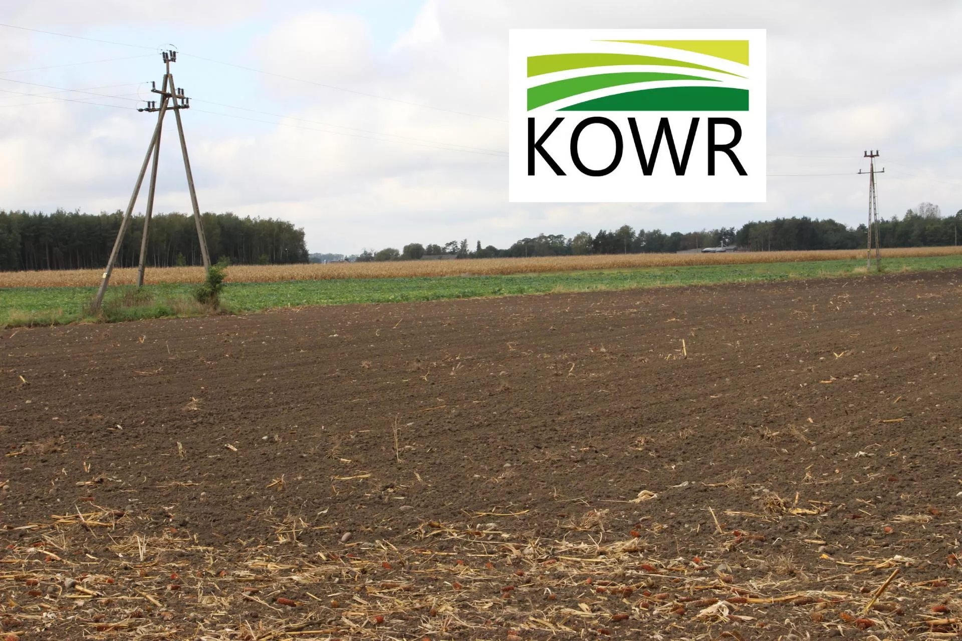 KOWR oddał za darmo 62 tysiące hektarów. Na co poszły te grunty?