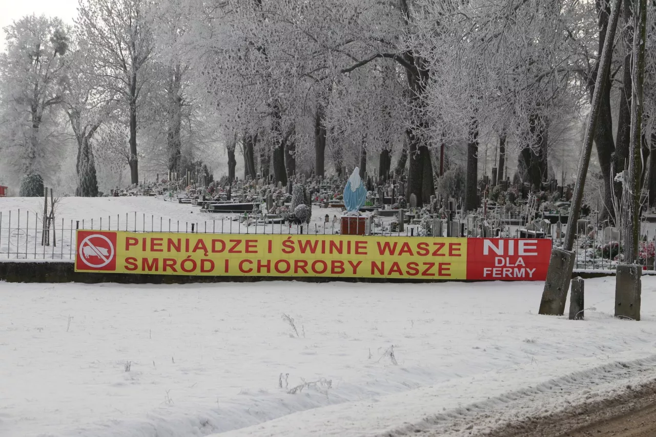 Rafał Białek, chlewnia, protesty przeciw chlewni