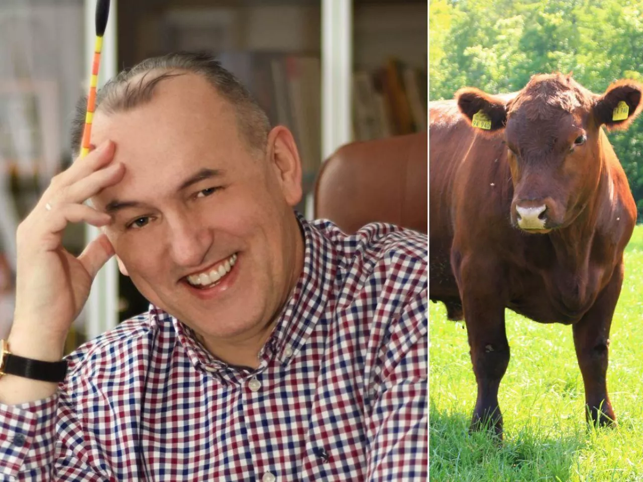 Spór o bazę genomową buhaja. Polska Federacja opuściła obrady