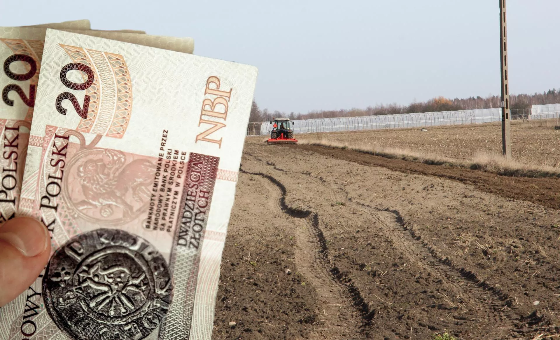 Rolnik wystąpił ze spółdzielni. Po ilu latach należy się zwrot udziałów?