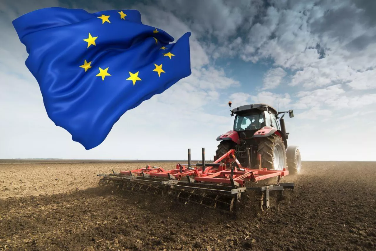 Czy rolnicy chcą wyjść z UE? Wyniki mówią jasno