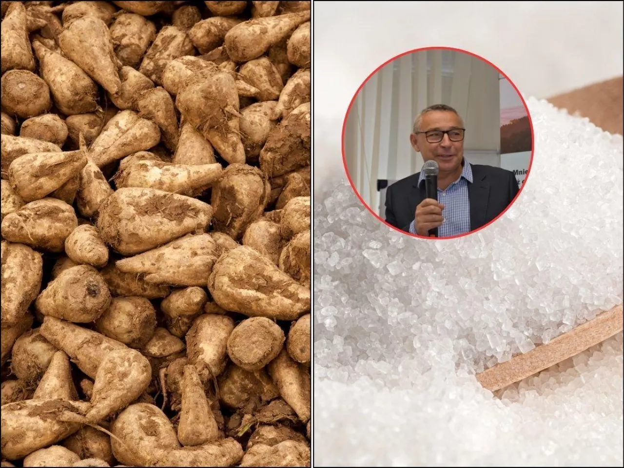 Buraki pod kreską. Ceny skupu spadają, kampania się wydłuża