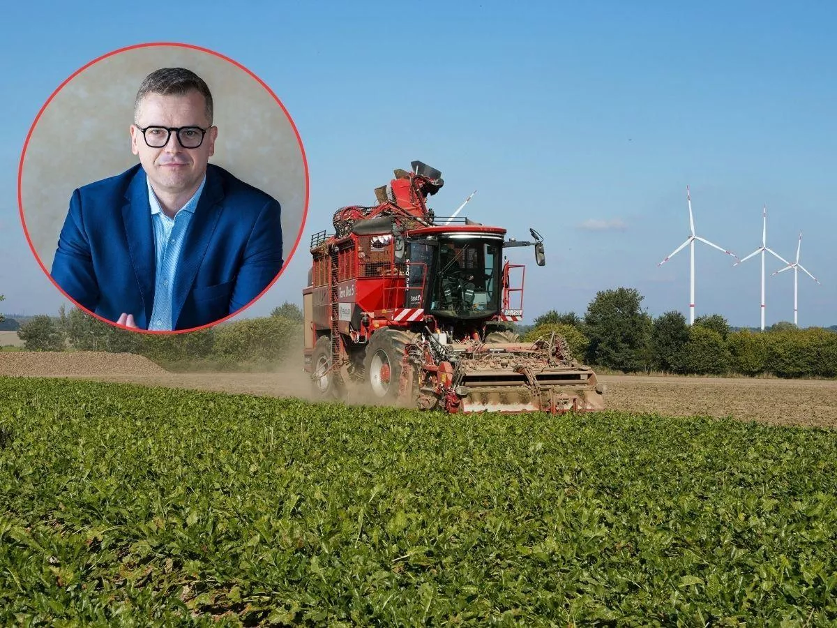 190 tys. ton cukru bez cła. „To dobije cukrownie w Polsce”