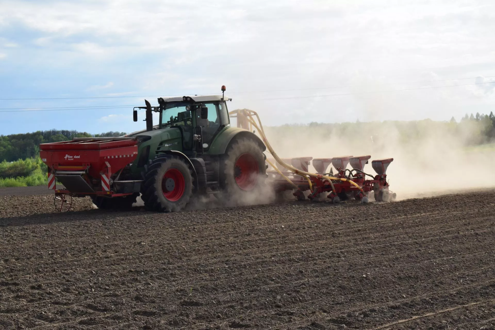 Prawie 2 mln ha kukurydzy w Polsce. Eksperci ostrzegają przed jednym błędem