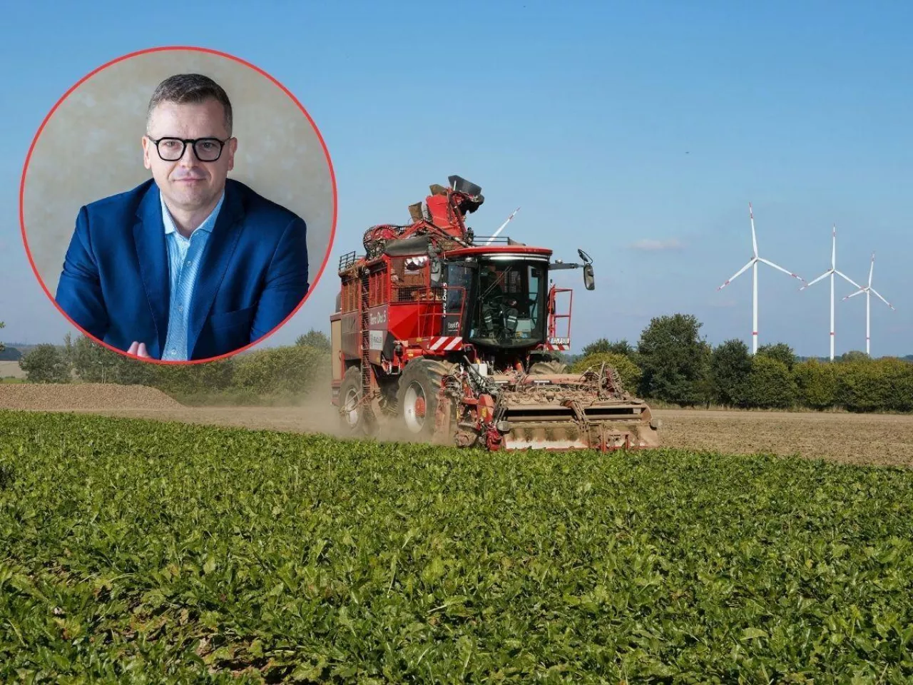 190 tys. ton cukru bez cła. ”To dobije cukrownie w Polsce”