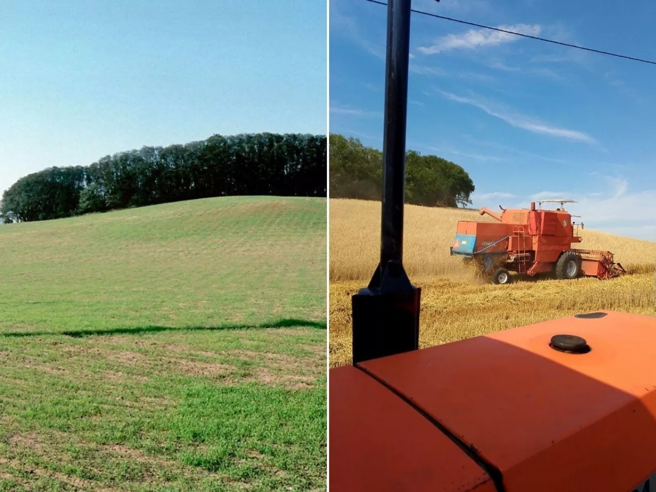 Uwięziony na własnej ziemi. Rolnik z Wielkopolski ma zakazy zamiast plonów