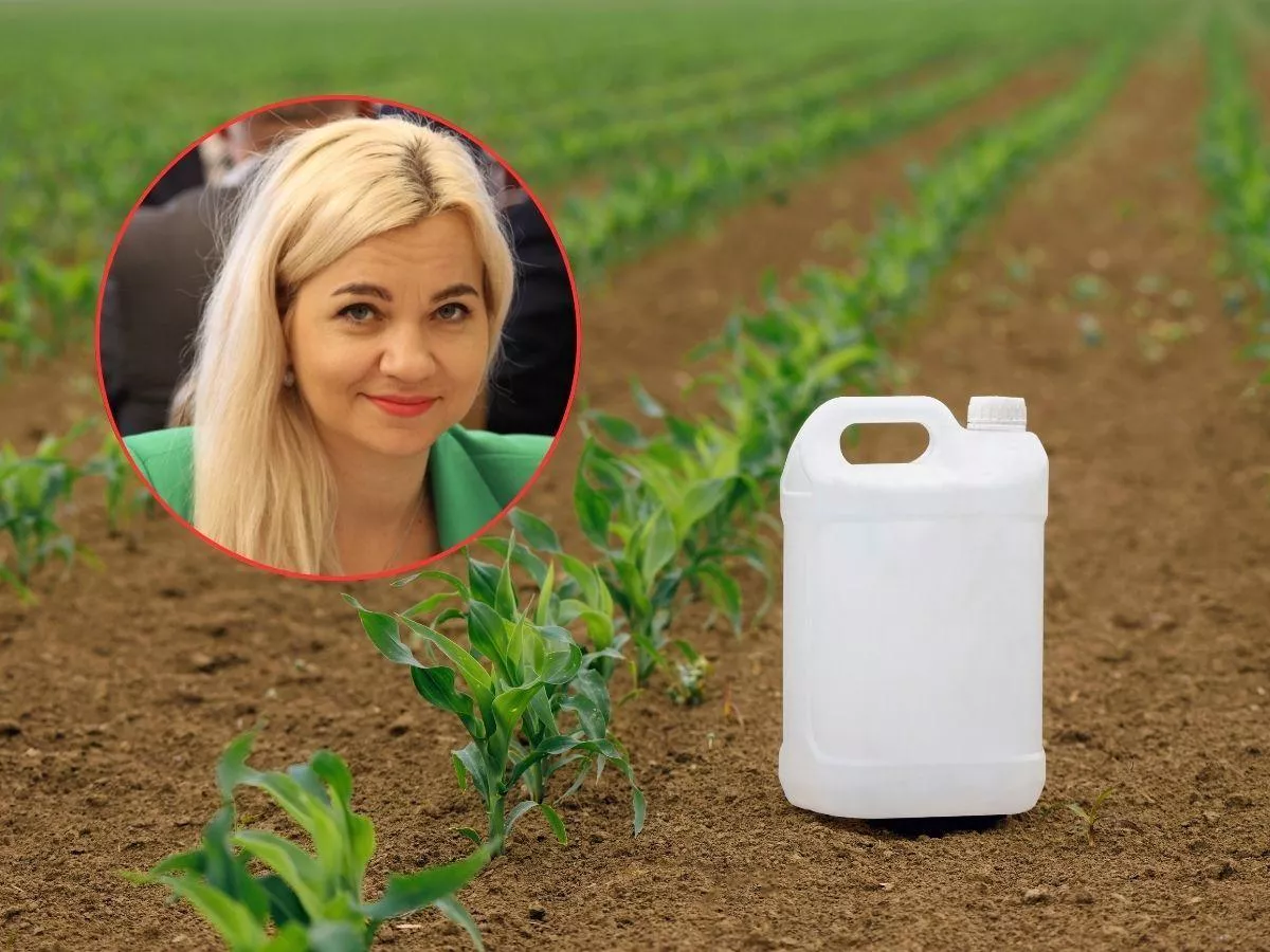 Rząd ma sposób na Mercosur? Tak chce zablokować import żywności