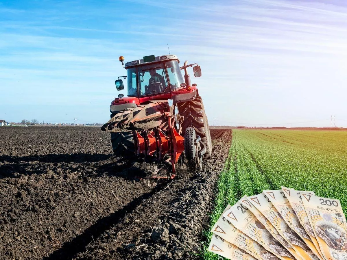 170 tys. hektarów czeka na rolników. Gdzie KOWR ma dziś najwięcej ziemi do rozdysponowania?