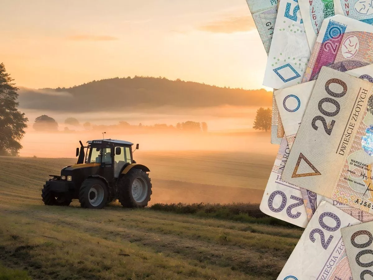 KOWR sprzeda ponad 20 ha ziemi w Lubuskiem. Jaka cena?