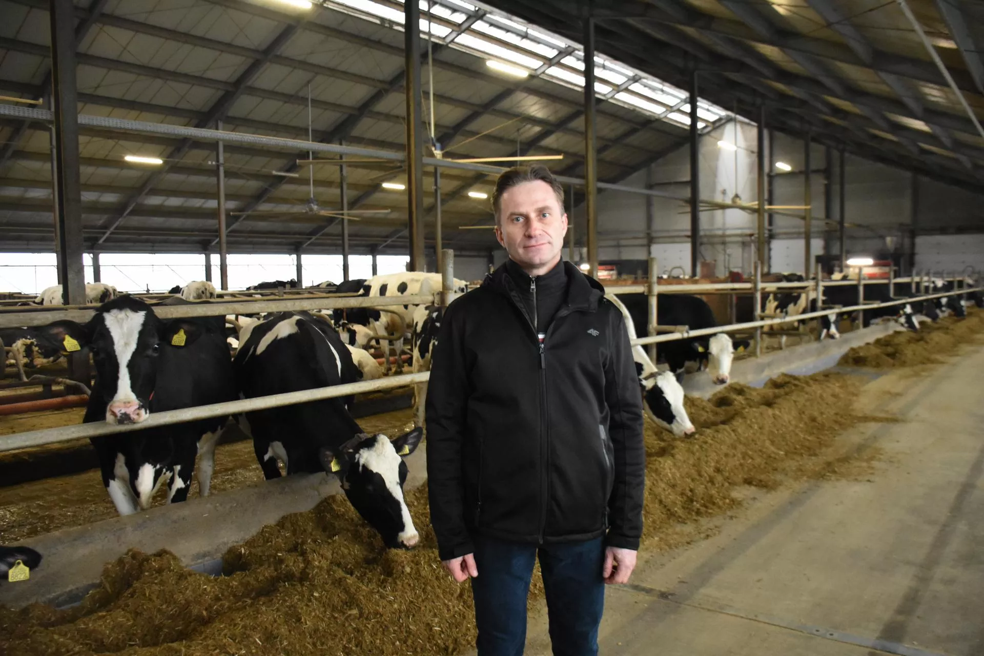 5 robotów, 300 krów i biogazownia. Tak rolnicy spod Sieradza produkują dziś mleko