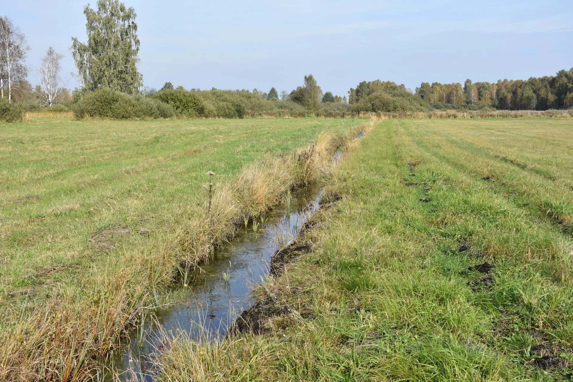 Zarząd spółki wodnej łamie prawo? Sprawdź, jak go odwołać
