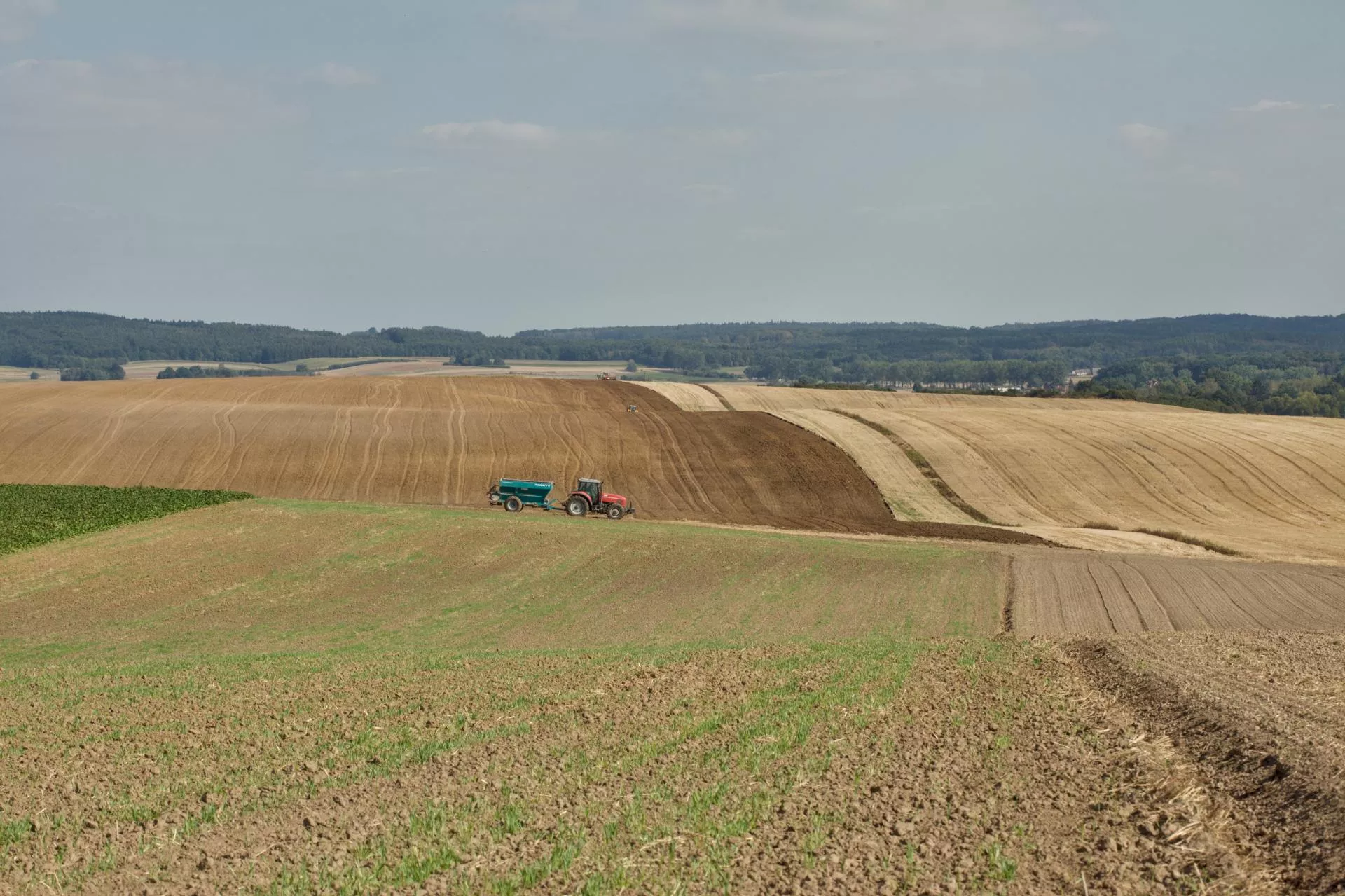 Prawie 1800 hektarów w zawieszeniu. Rolnicy pytają: co z ziemią po PGR?