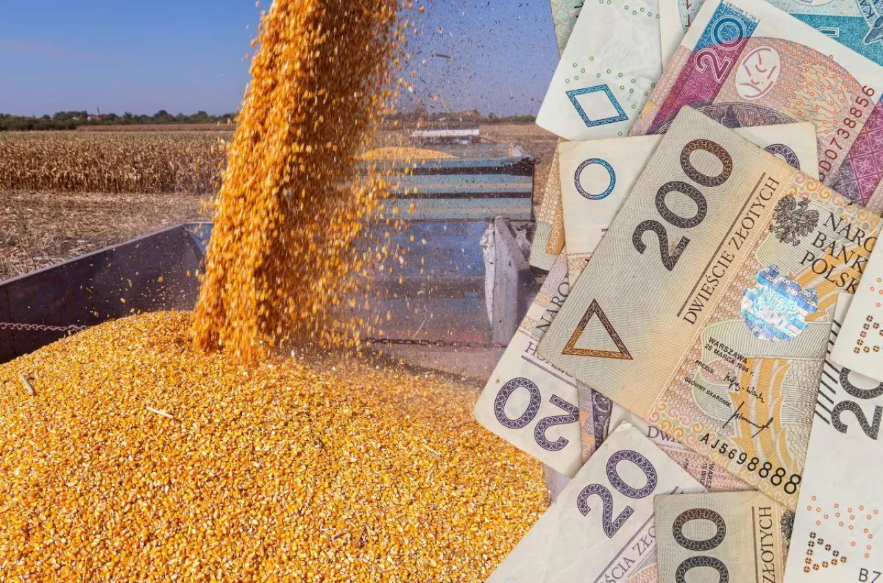 Rekompensaty dla rolników 2026: rusza nowy nabór. Gdzie i kiedy złożyć wniosek?