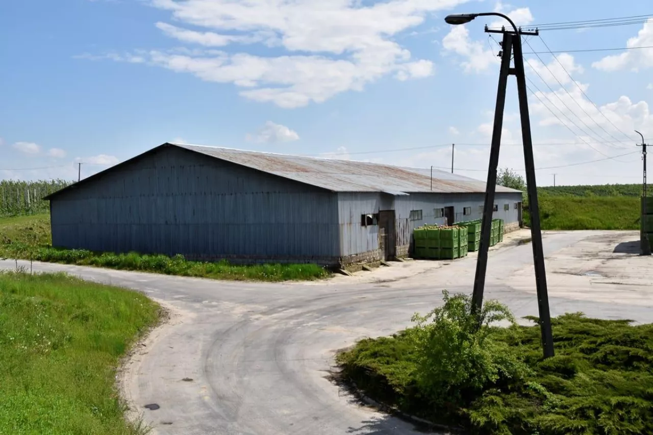 Pomagał w gospodarstwie. Sąd może przyznać mu więcej ziemi?