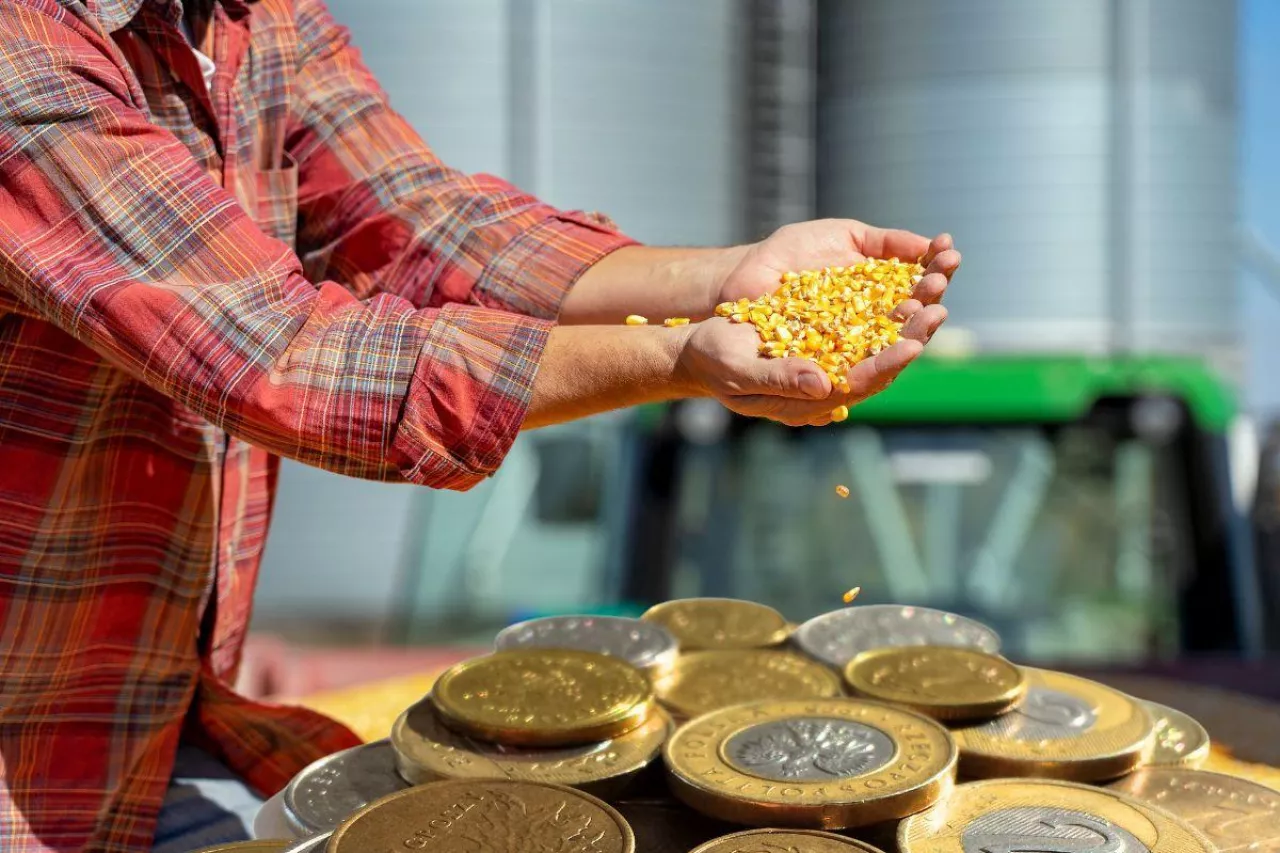 Rolnik z Mazowsza o dopłatach do zbóż Będzie jak z suszowym - 2