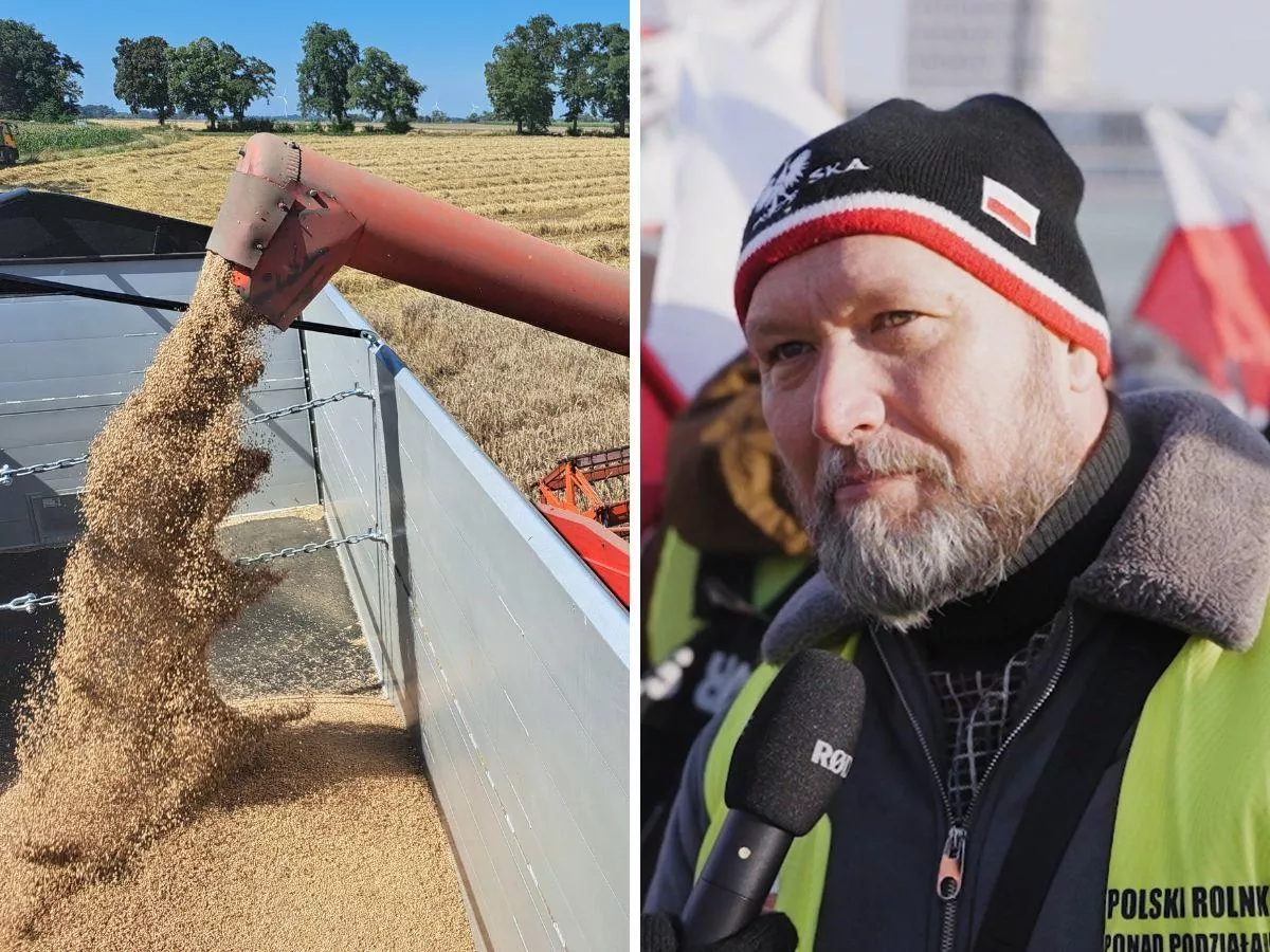 „400 ton pszenicy leży, ceny jak sprzed lat”. Rolnik z Opolszczyzny alarmuje