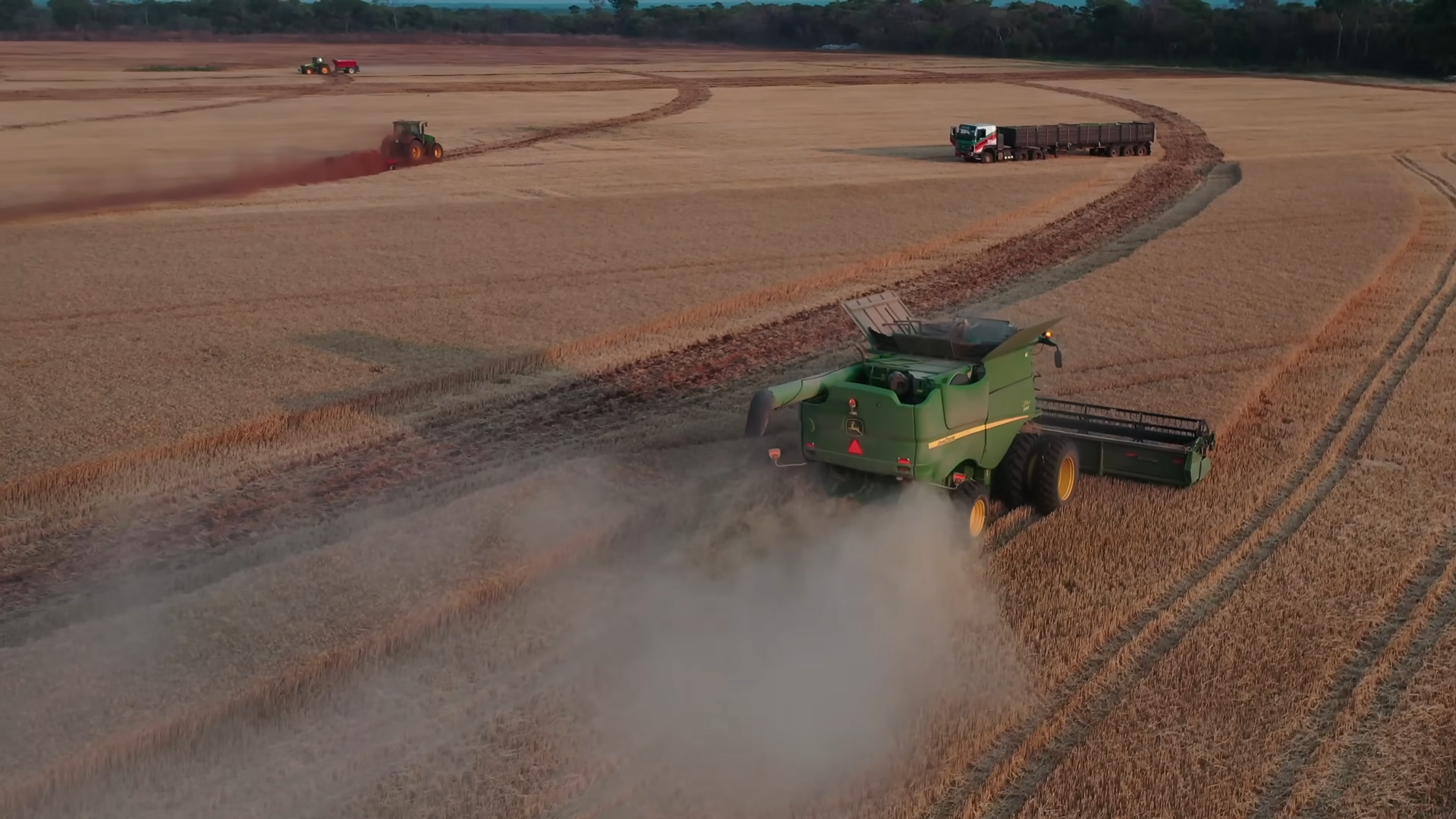 9 ton z hektara w Afryce. Tak polscy rolnicy koszą pszenicę w Zambii