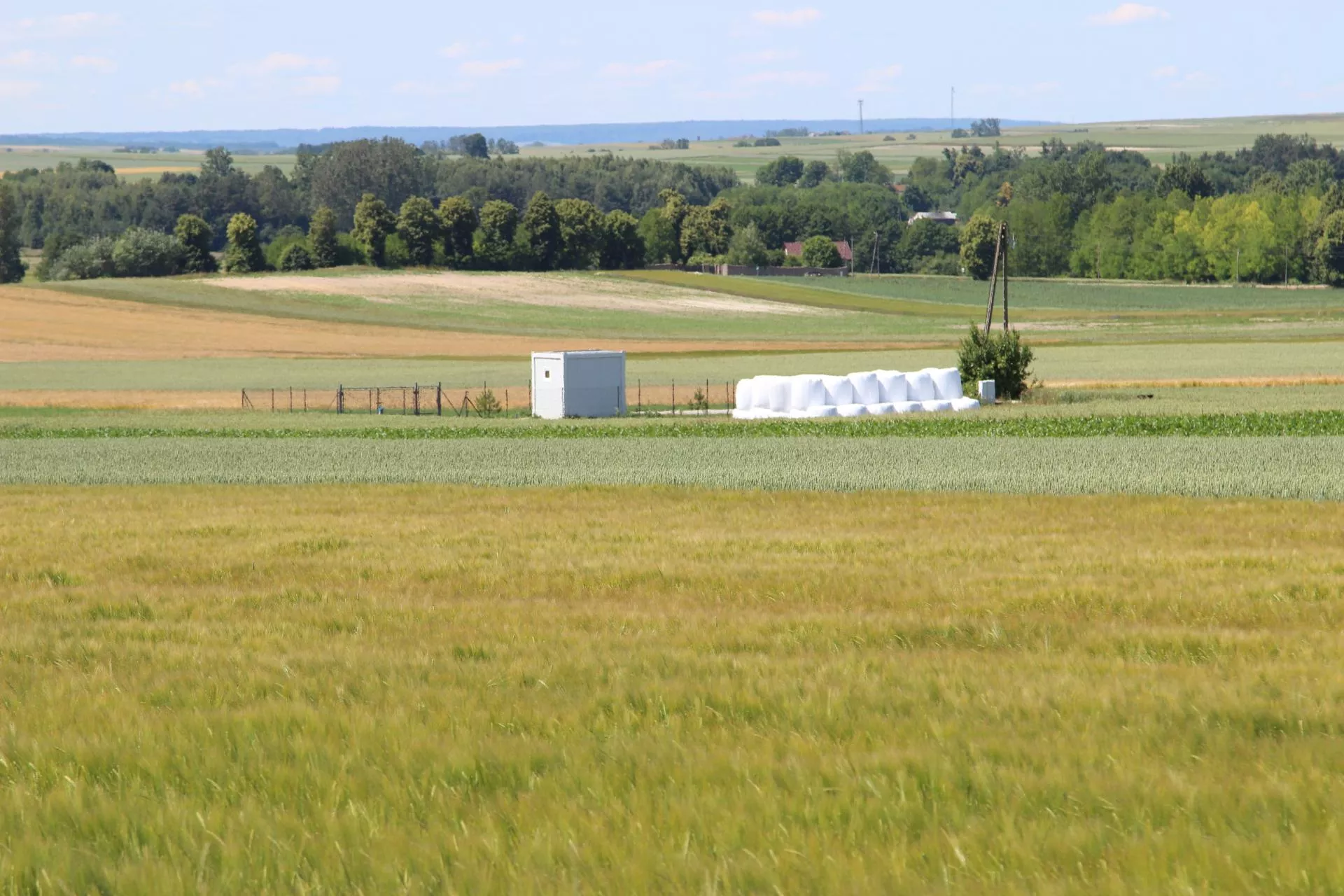 Wygrałeś dzierżawę z KOWR? Możesz nie płacić podatku rolnego choćby 5 lat