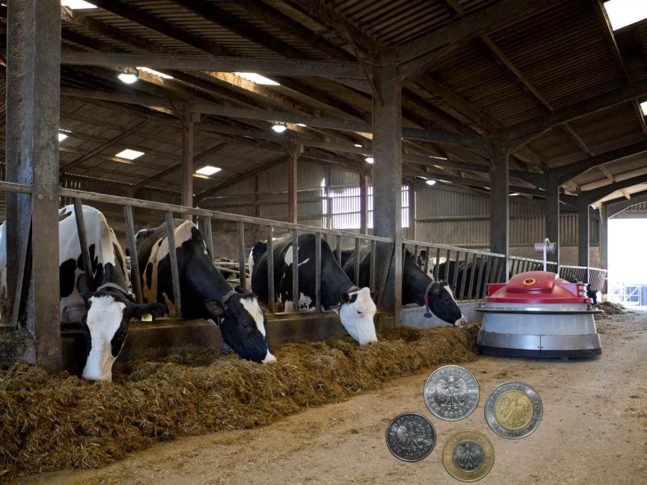 Ceny mleka spadają kolejny miesiąc. Jak poprawić opłacalność?