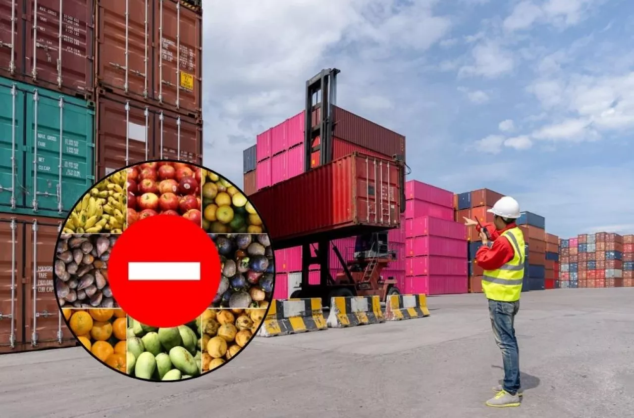 KE powołała specjalną grupę. Chodzi o tanią żywność z importu