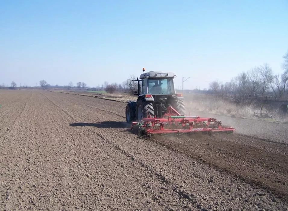 Pszenica ozima i jara. Jak uprawiać zgodnie z metodyką IP?