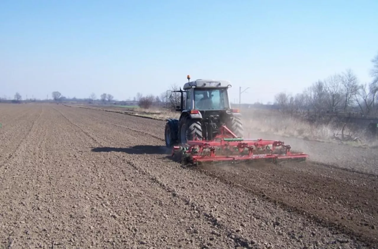 Pszenica ozima i jara. Jak uprawiać zgodnie z metodyką IP?