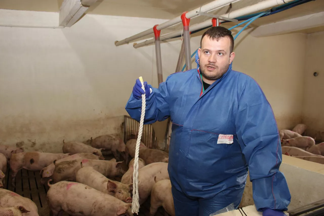 Mateusz Trzaskacz, lekarz weterynarii, piotrków trybunalski, łódzkie