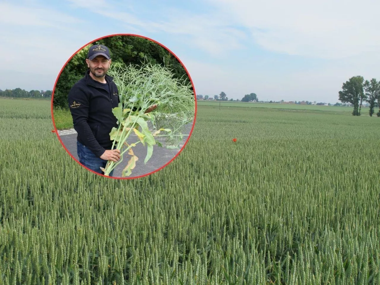 ”Nic nie możemy zaplanować”. Rolnicy pełni obaw przed nowym sezonem