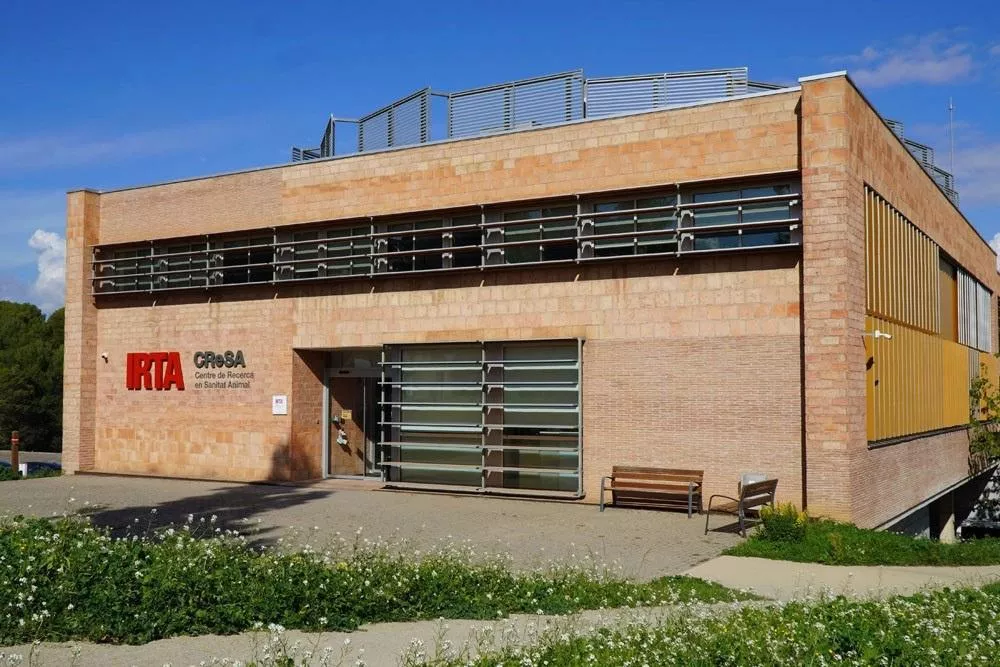 Nietypowy ASF w Hiszpanii. Wirus znaleziony tuż obok laboratorium badawczego