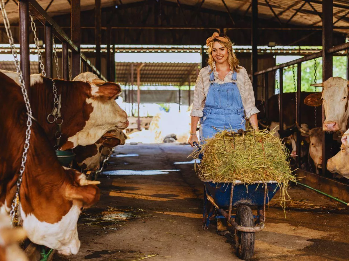 Nie zrobiłeś tego szkolenia? Możesz stracić 30% dopłat