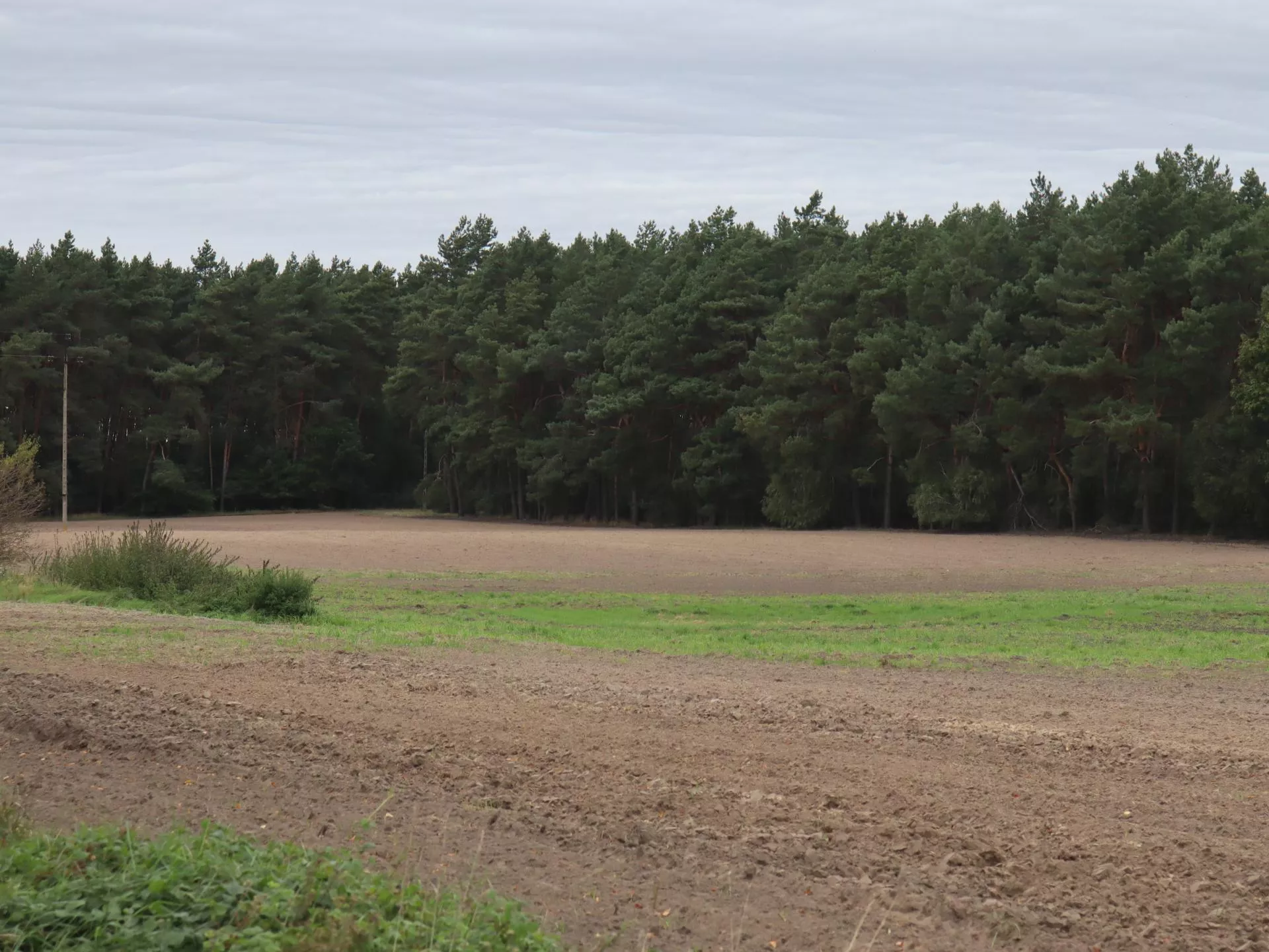 Nowe zasady dzierżawy ziemi. Izby rolnicze ostrzegają: problem z czynszem i wyższe kary