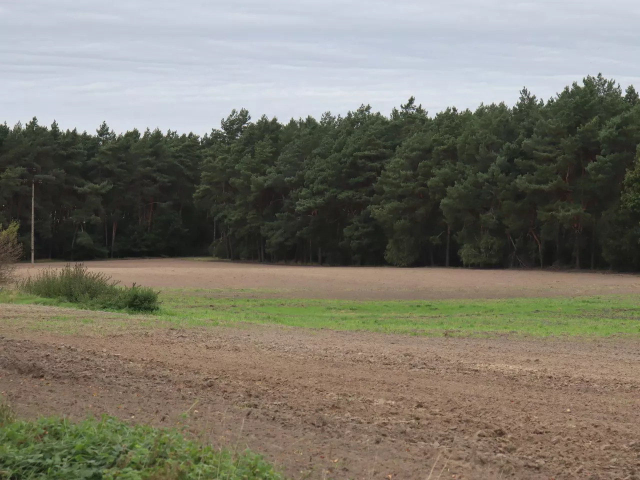 Wielkopolska Izba Rolnicza krytycznie odnosi się projektu ustawy o dzierżawie rolniczej