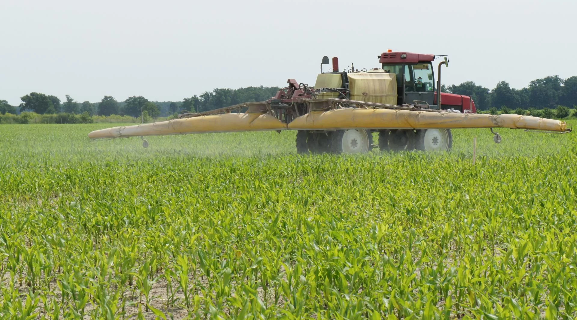 Te pierwiastki w glebie się „gryzą”. Sprawdź, co blokuje plon