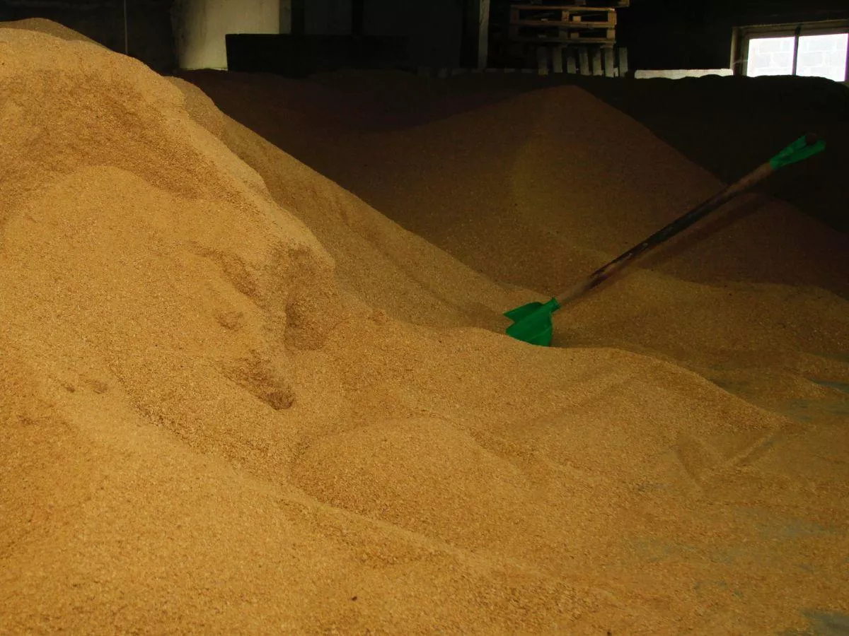 Soja z Ameryki czy rzepak z Polski? Rolnicy apelują do ministra