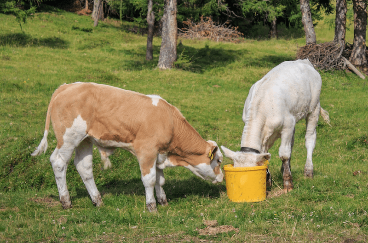 Kara 60 tys. zł za wodę z własnej studni. Rolnicy czekają na abolicję