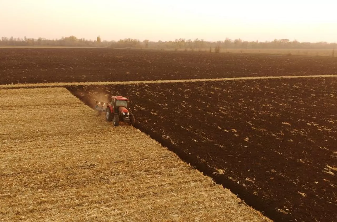 Rolnik nie może iść na rozprawę. Kto z rodziny może go zastąpić?