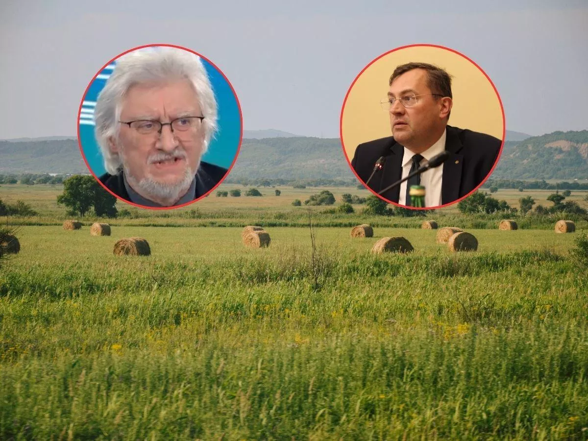 Rolnicy są „nieproduktywni i bogaci”. Co na to rząd?